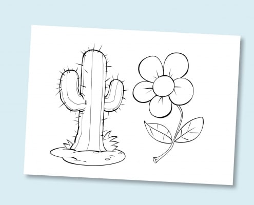 Illustration af en blomst og en kaktus